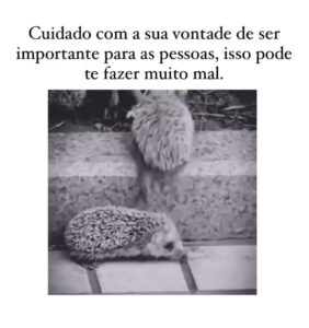 Como é o seu círculo de convivência?